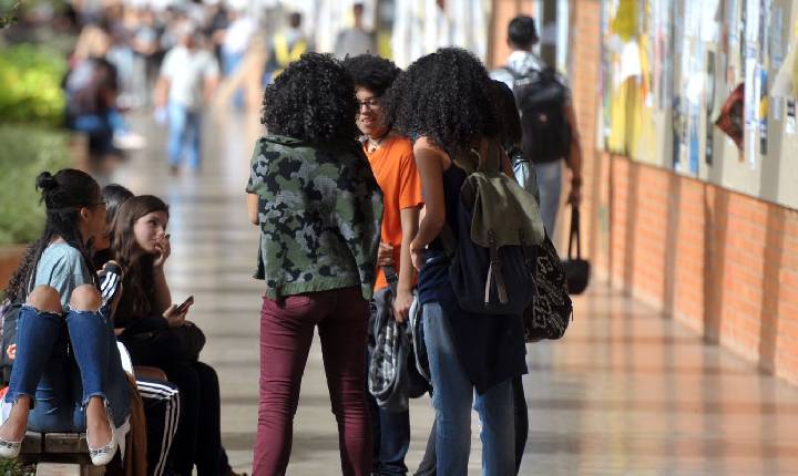 Estudo recomenda ampliação de políticas afirmativas em SC